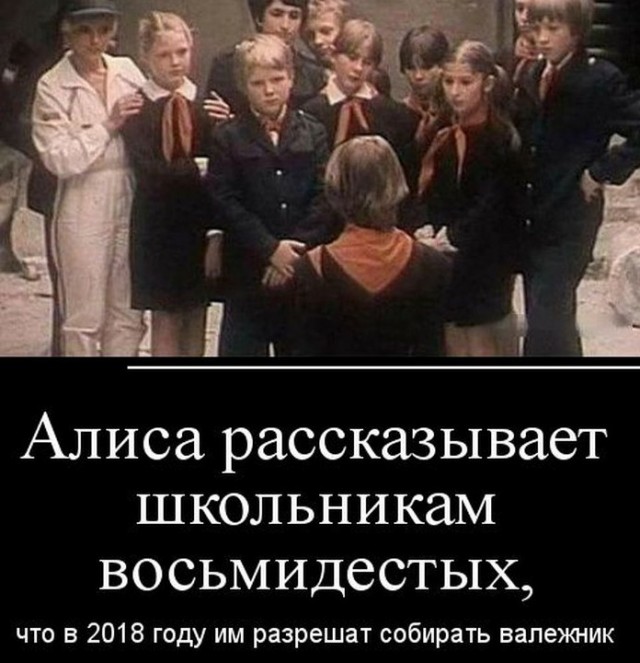 Жителя села Гагино судят по обвинению в краже из леса валежника
