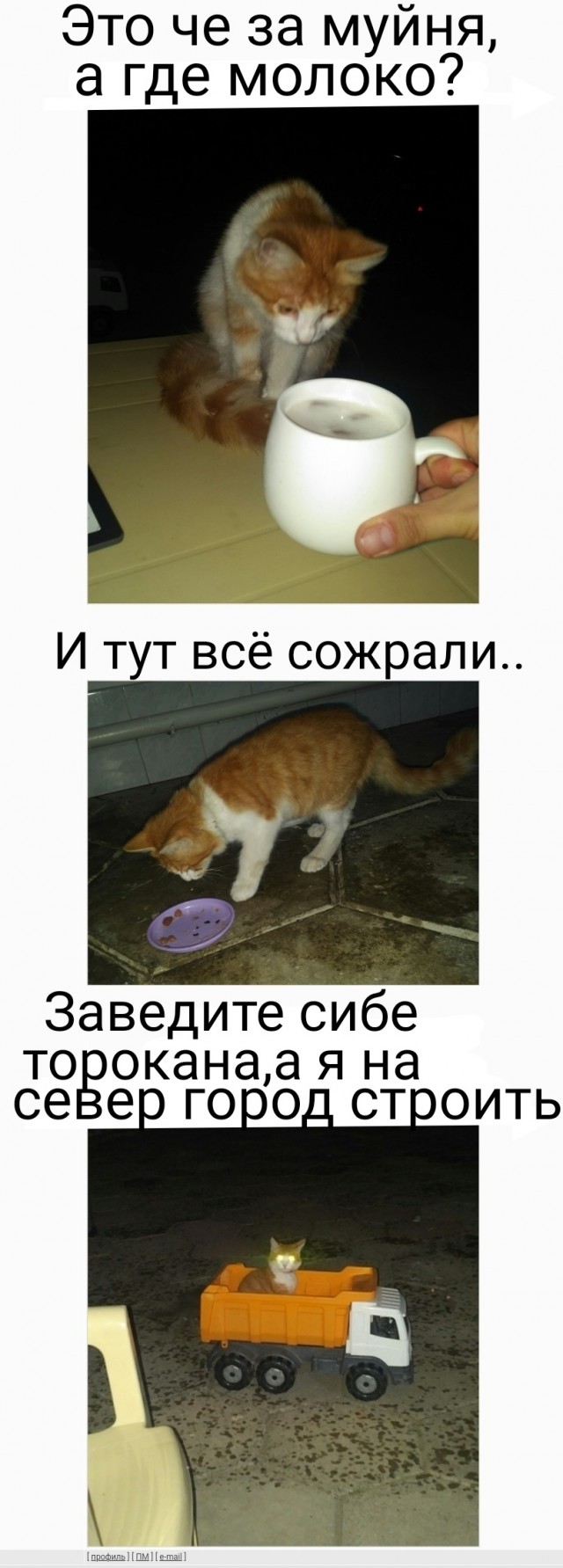 Обещание выполненно!