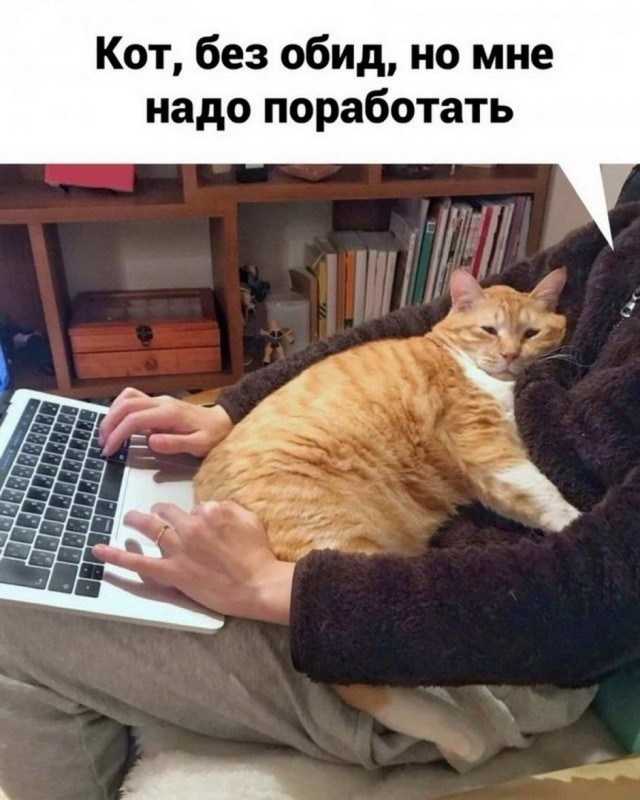 Картинки и мемы для настроения 2021.09.07