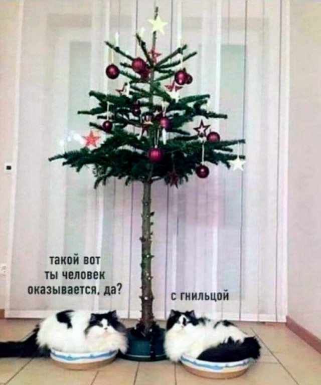 Картинки и мемы для настроения 23.11.2021