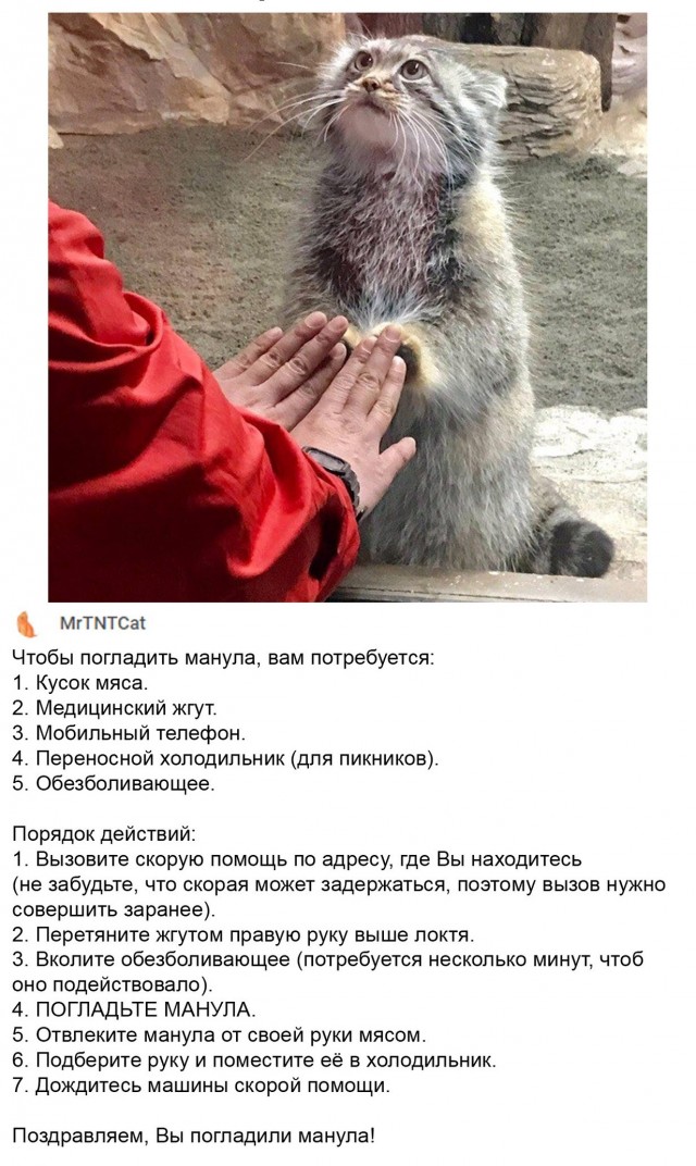 Ребята...