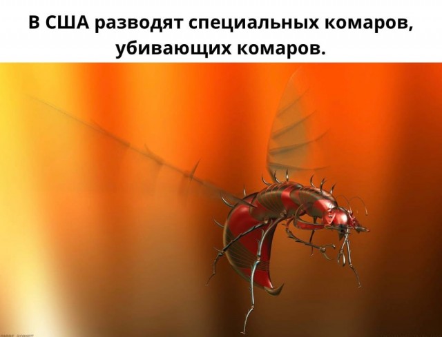 Так себе картинки 29.03.22
