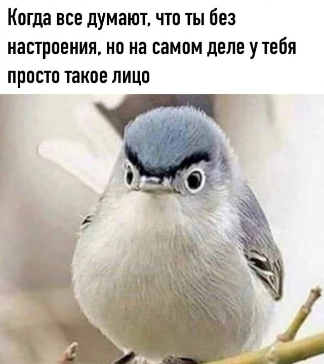 Пятница. Вечер. Картинки всякие #9