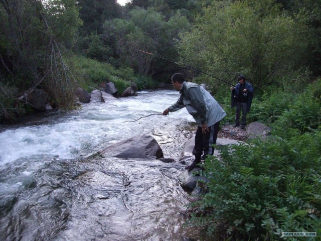 Рыбалка в горах. Плато Ассы.