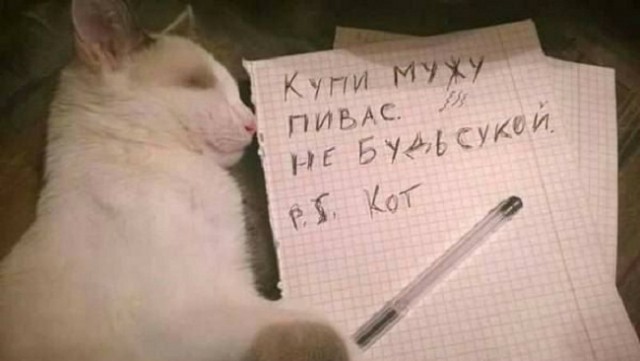 Картинки и мемы. Выходные близко, близко...