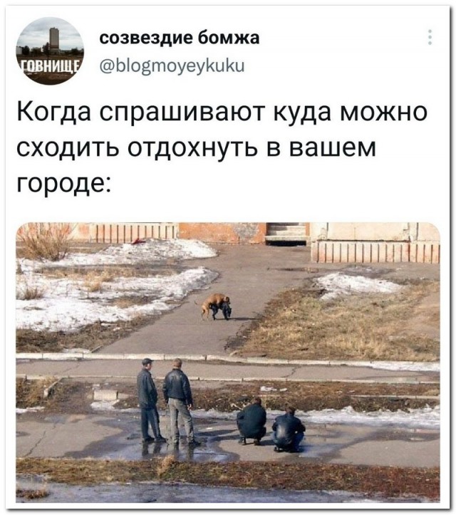Скриншоты и комментарии из социальных сетей 10.09.22