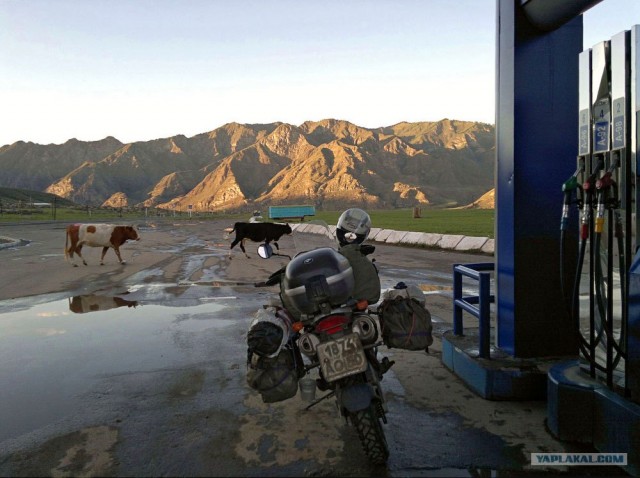 Путешествие на Алтай