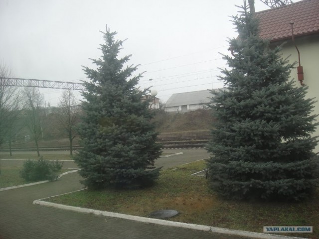 Ураина и украинцы глазами русских.