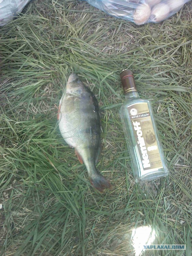 А я на рыбалке