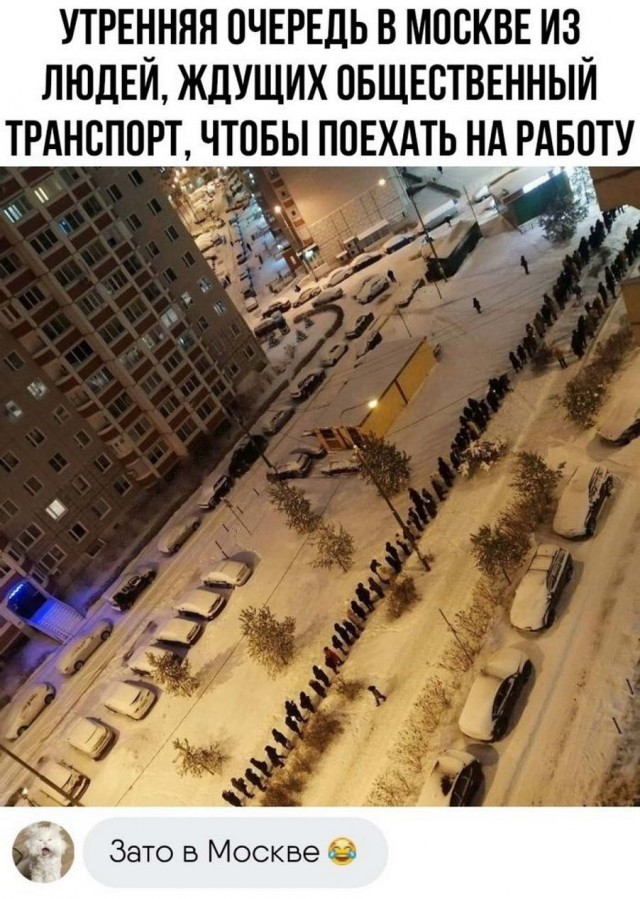 Картинки и мемы для настроения - 125
