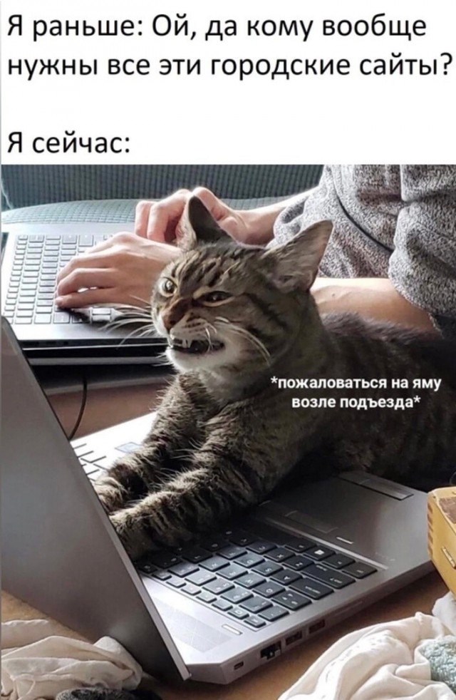 Юмор в картинках и без 22.12.2022