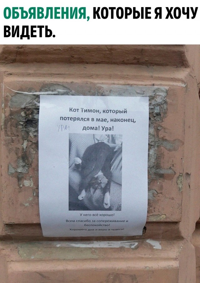 Картинок пост