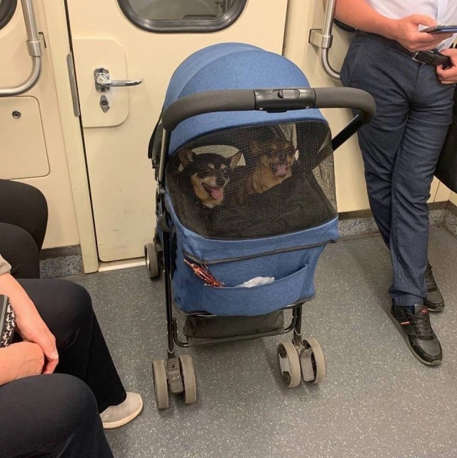 Модники из нашего метро