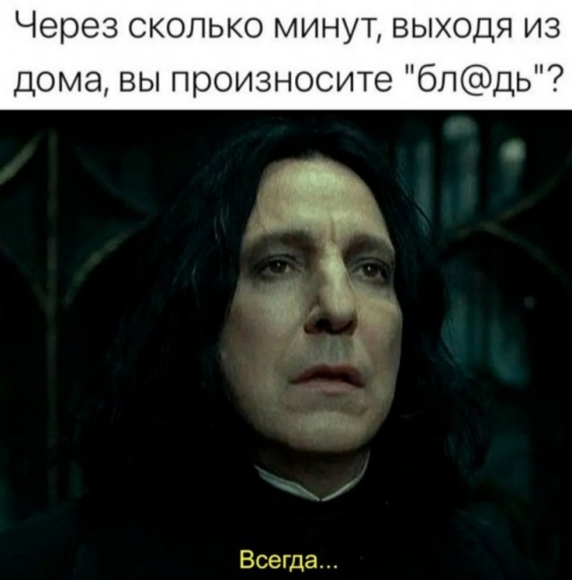 Весёлый полтишок 19.11.23