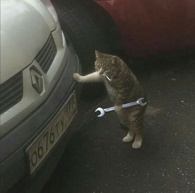 Рождение автомеханика