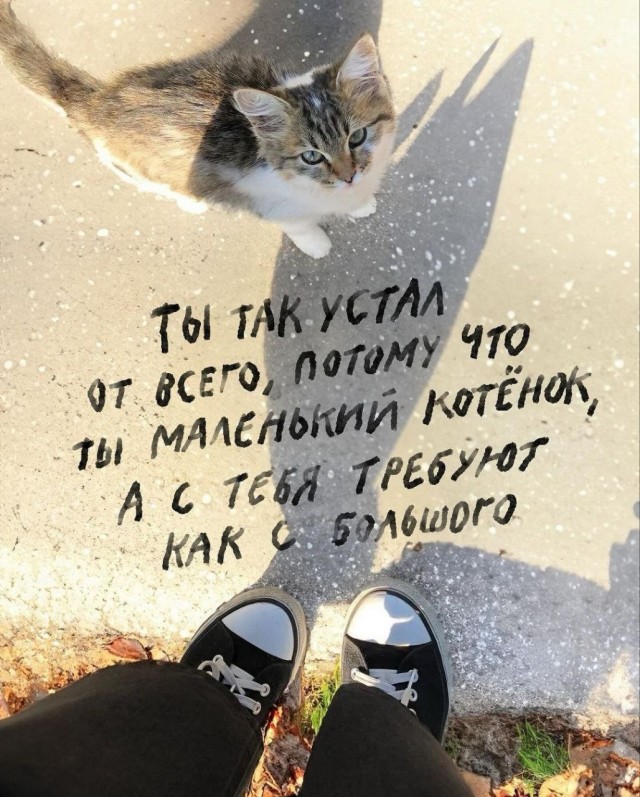 Всего понемногу. От 08.12.23