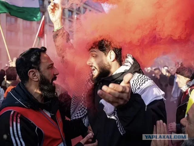 Удивительно: немецкая Bild выступила против мигрантов, защищая Германию