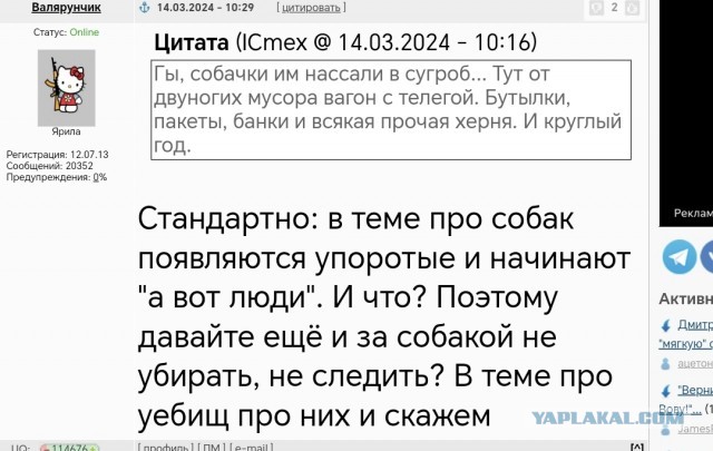Собачники облюбовали для массовых прогулок бульвар в центре Челябинска. Теперь на него больно смотреть