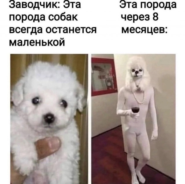 Всего понемногу. От 02.04.24