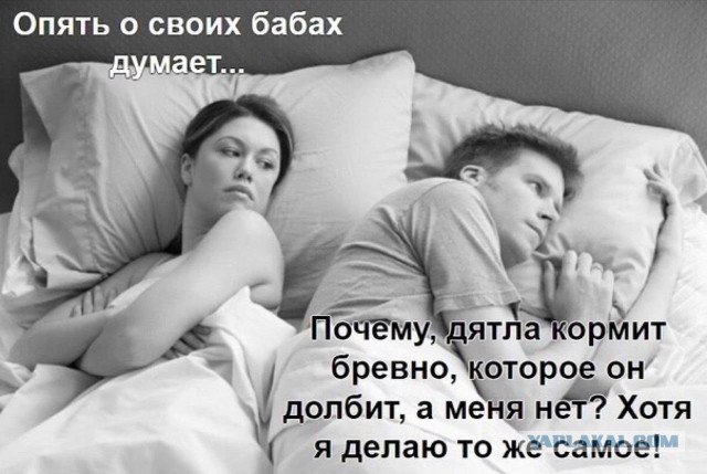 Всего понемногу. От 05.04.2024