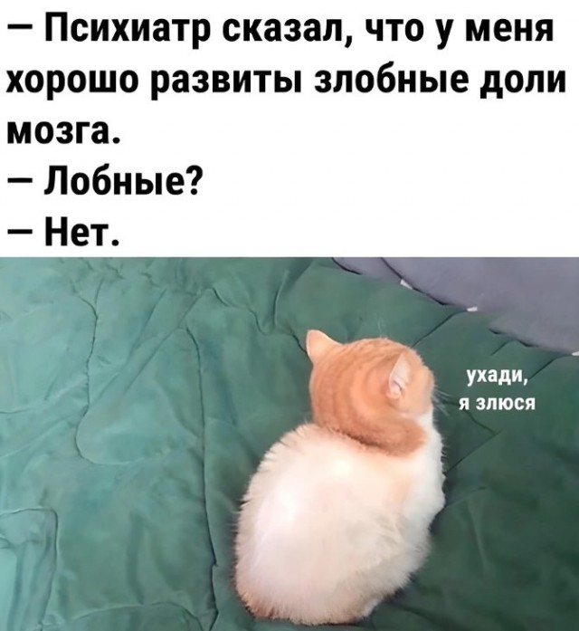 Завалялось тут случайно немного забавных картинок