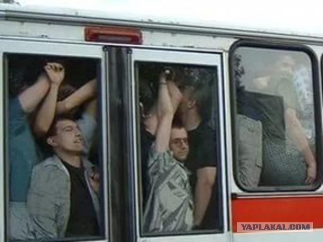 Просто ламповые фото Ikarus, разные