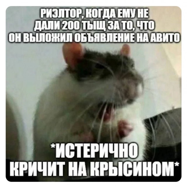 Всего понемногу. От 27.09.24