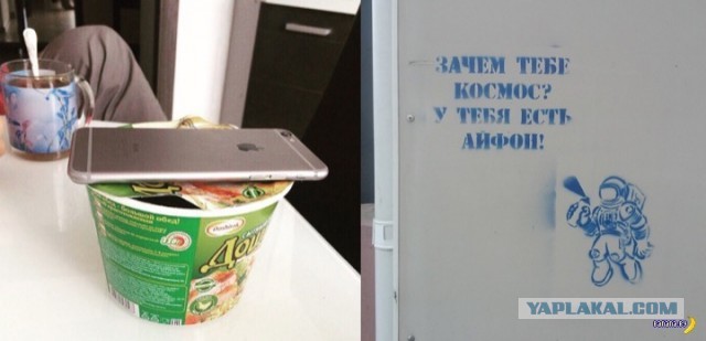 Всё для любимки