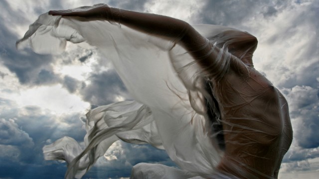 СлонотЯп-2. Итоги