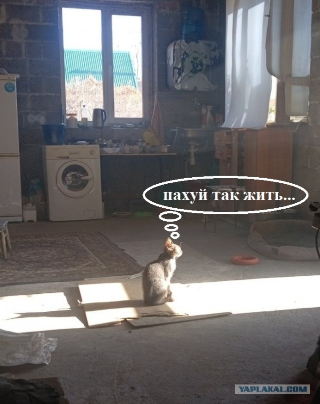 Фотка из жизни
