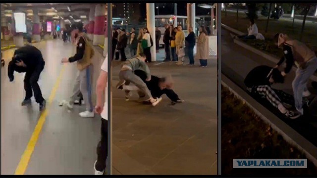 Банда Муслима: За кого вступился Кадыров, пойдя против Бастрыкина и Колокольцева?