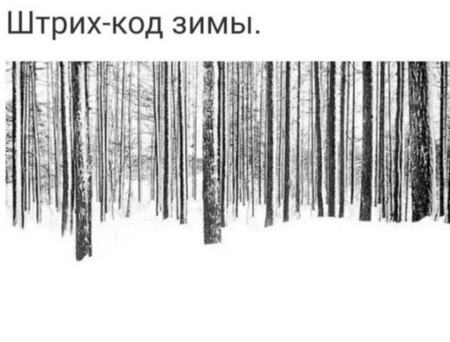 Нуштош 13.12.2024