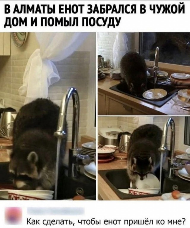 Нуштош 14.01.2025. Теперь ждем лета (s3e2)