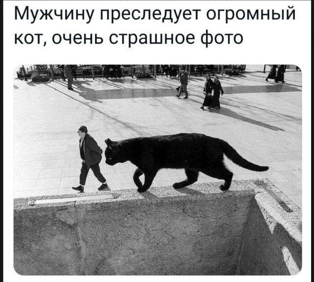 15 фото вам без всякой моральной этики для поднятия настроения