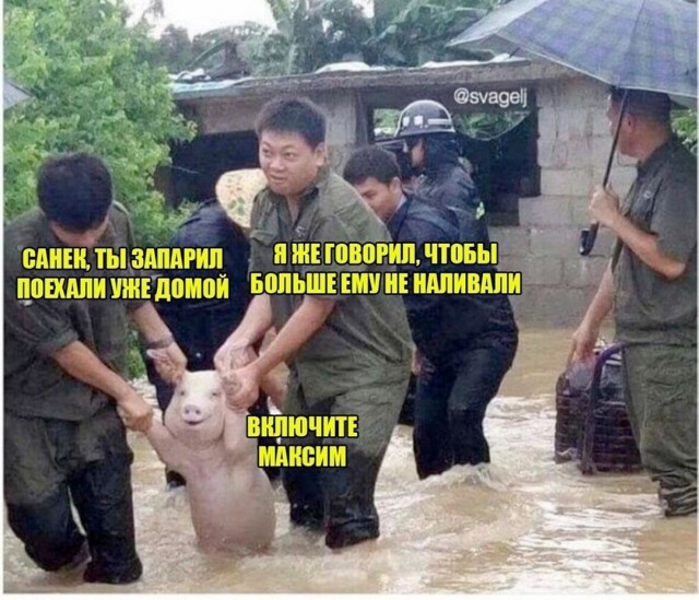 Веселые картинки в пятницу (23.05)