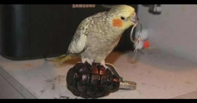 А не забыли ли мы все...