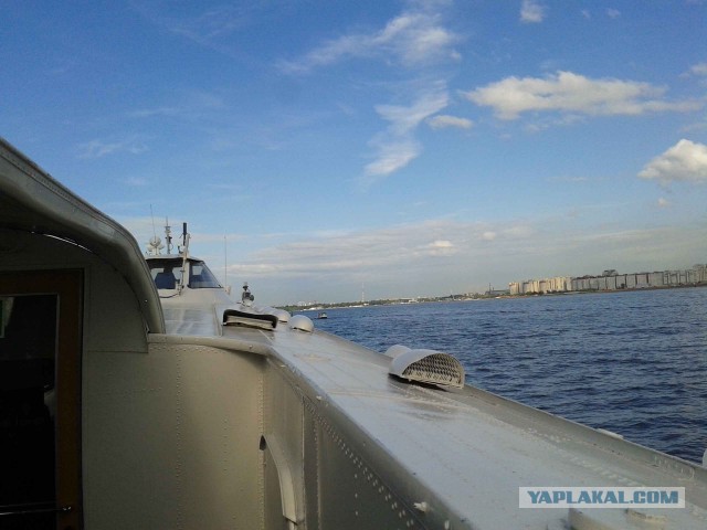 Настоящим жителям С.Пб.