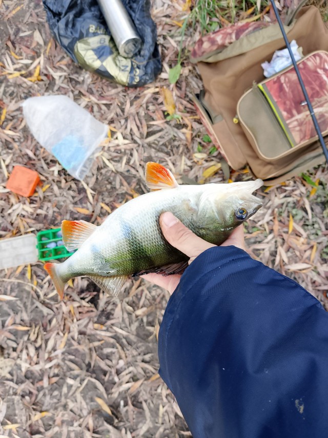 Рыбалка выходного дня