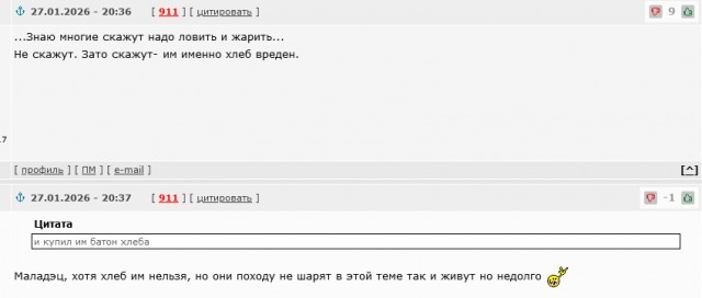 Утки