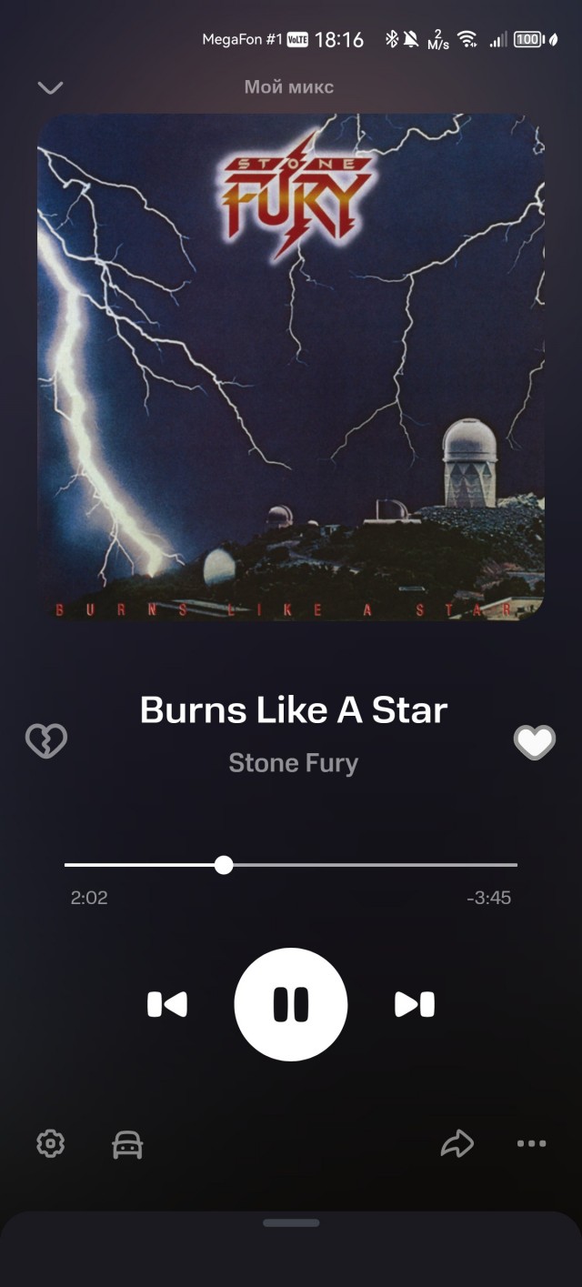рок-группа Stone Fury