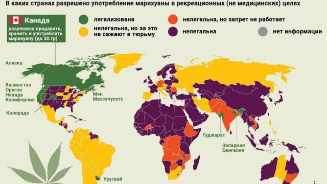 Почему Алкоголь легален, а Марья Ивановна в иноагентах?