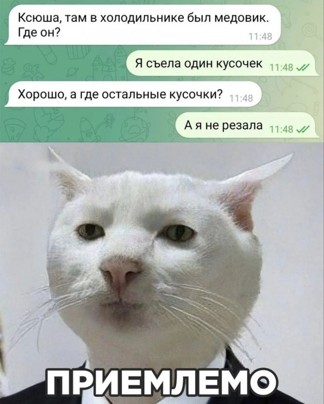 Веселое настроение в картинках 13.08.26