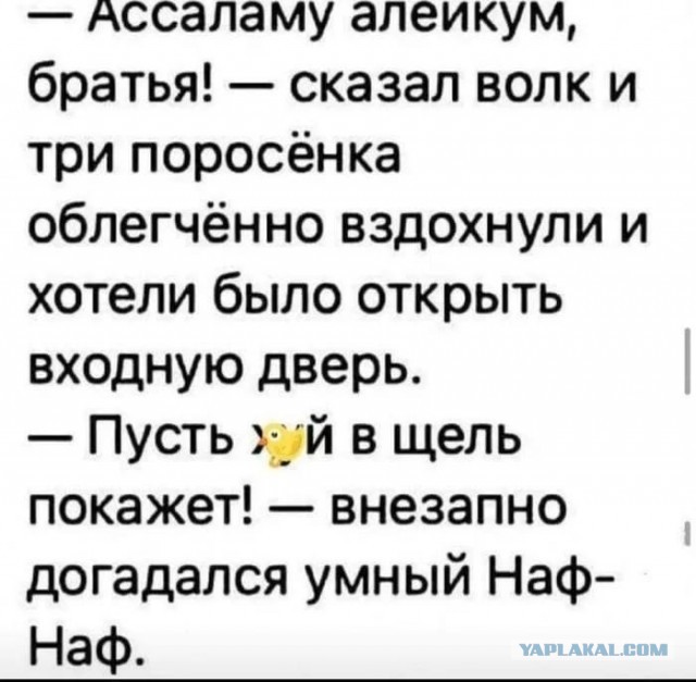 Картинки для деградации 262 (разной степени свежести)
