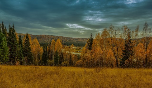 Осень в тайге