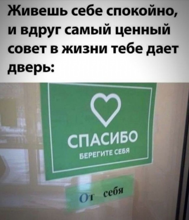 Картинки для деградации 282 (разной степени свежести)