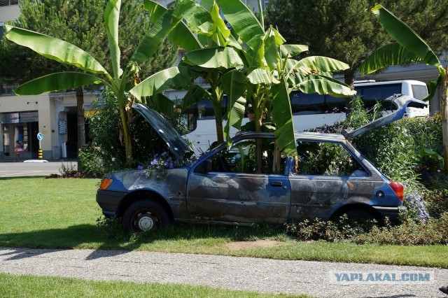Поездка в Швейцарию