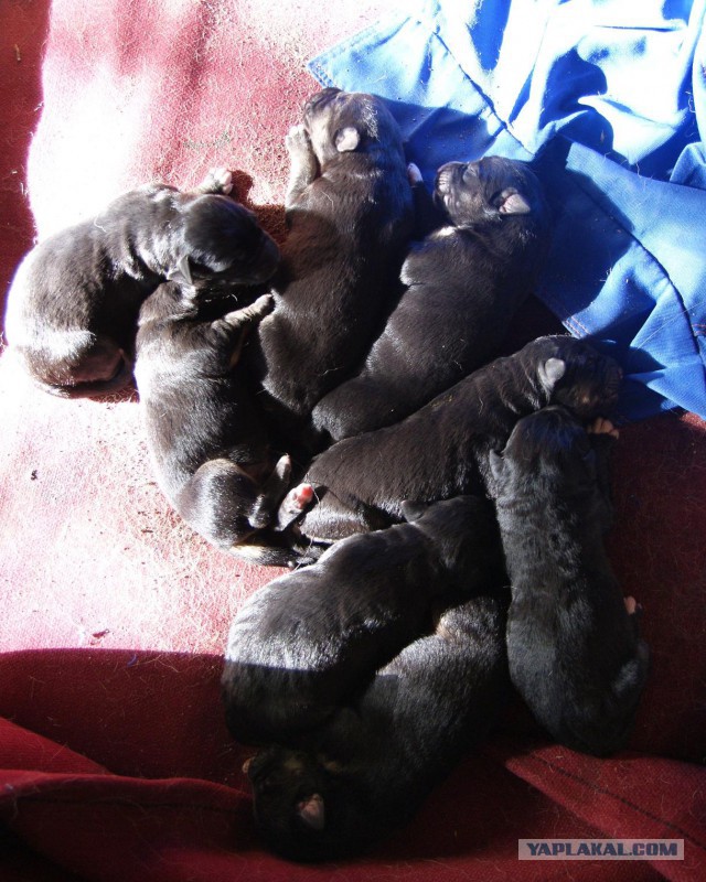 Беседка скромная и необычная...