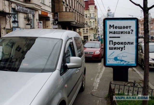 Маразмы и просто позитивные картинки