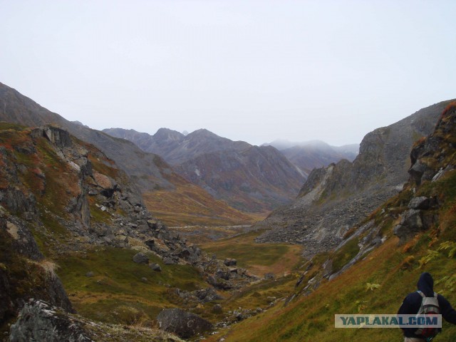 Занесло как-то меня на Аляску...