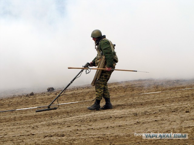 Толстая